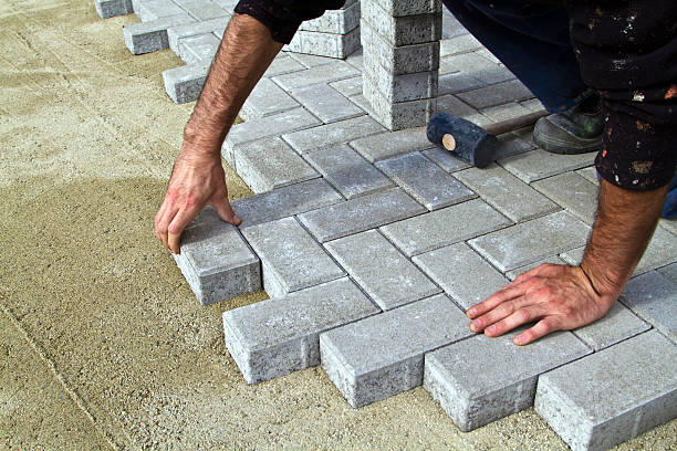 Best Driveway Paving Contractor  in Winfield, AL